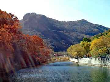 管家婆黑白马报图库，王祖贤林建岳